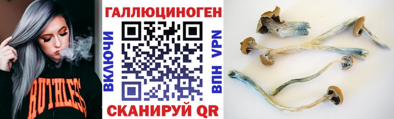 Галлюциногенные грибы GOLDEN TEACHER Купить где Струнино