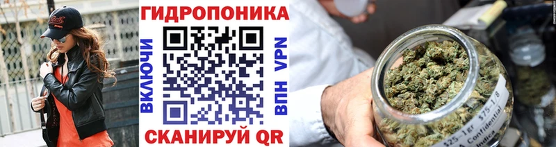 Купить  Струнино  Каннабис индика 